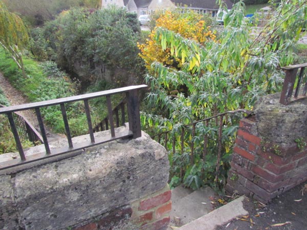 A view down steep steps, with the overgrown waterway beyond.