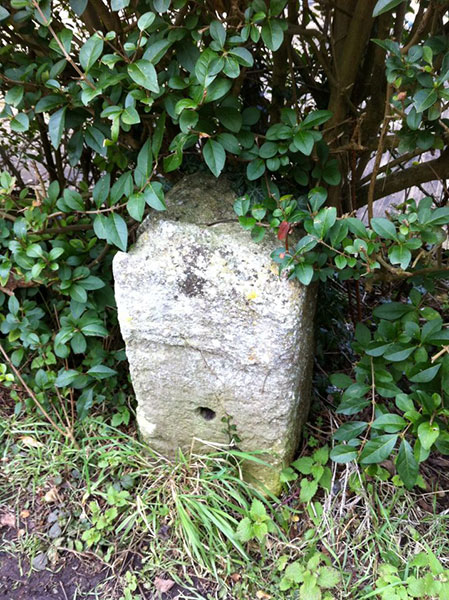 The milepost is a small stone post at the bottom of a hedge next to the canal towpath.
