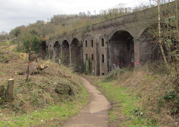 A huge brick built viaduct goes off into the distance. Surrounding land has been recently cleared of vegetation, showing chopped off tree trunks and branches.